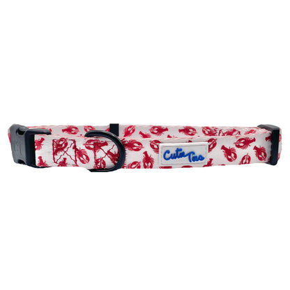 Cutie Ties Fun Design Dog Collar - multiple designs