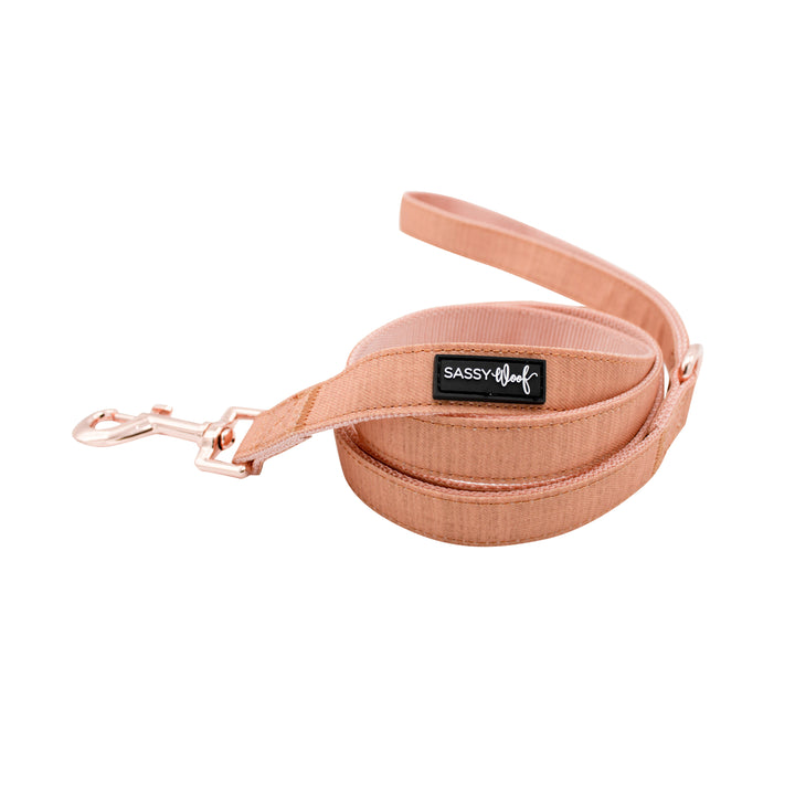 Orange Sassy Woof woven nylon leash with rose gold accents