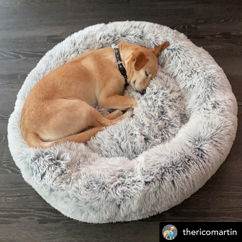 Ortho plush pet bed