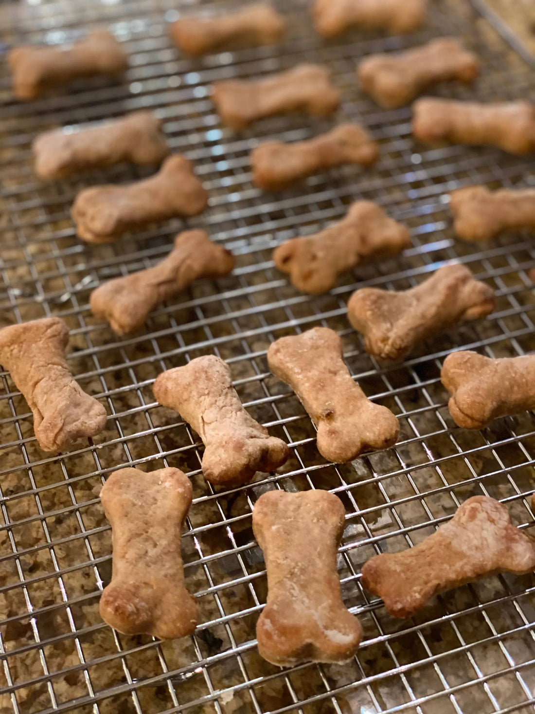 Bark 5th Avenue Gourmet Peanut Butter Treats