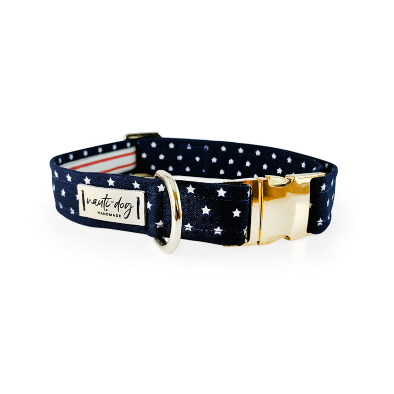 Nauti-dog Patriotic  American Star Navy Buckle &amp; Martingale Dog Collar