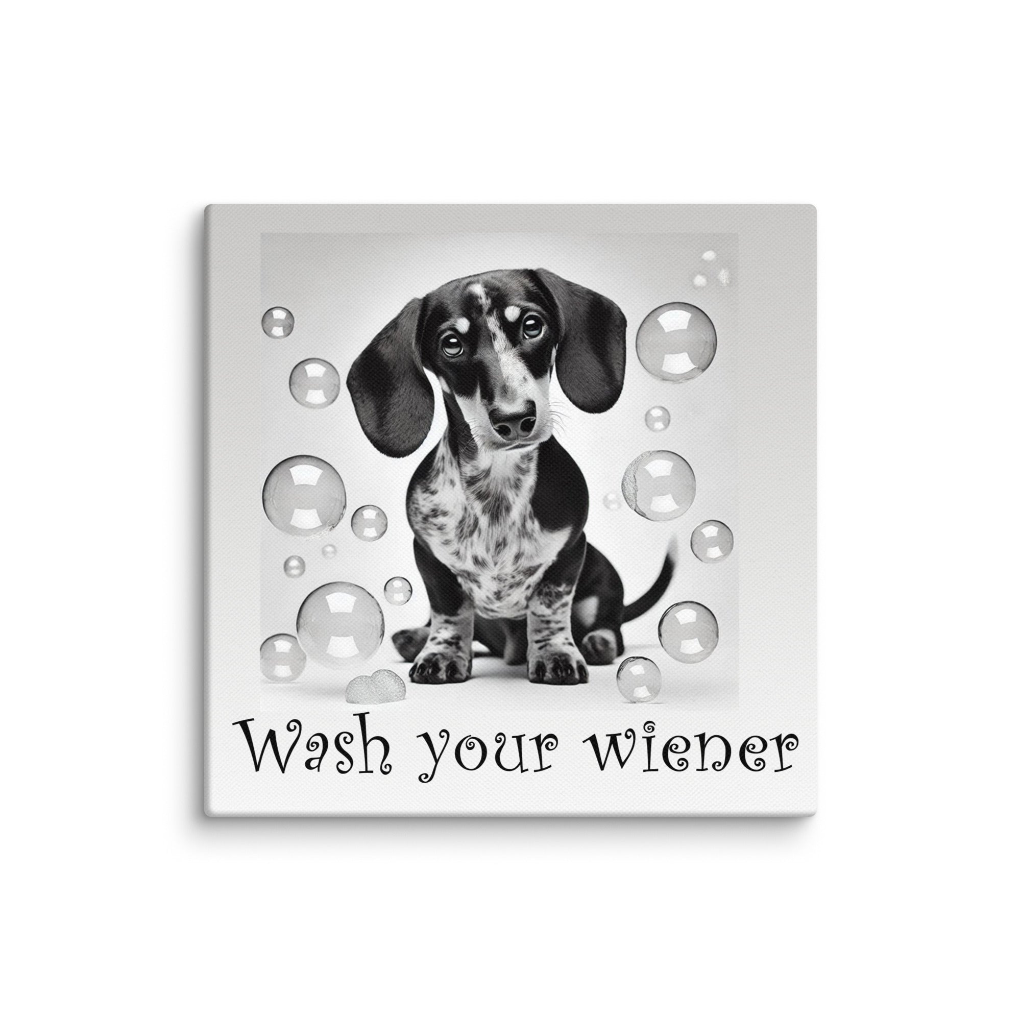 &quot;Wash your wiener&quot; canvas print - 12x12&quot;